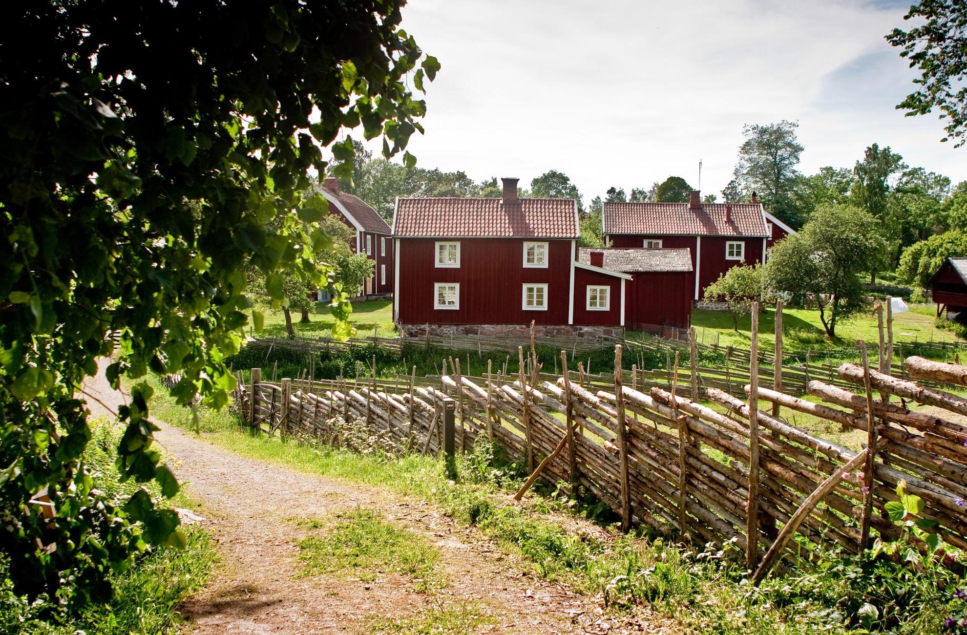 Red cottages