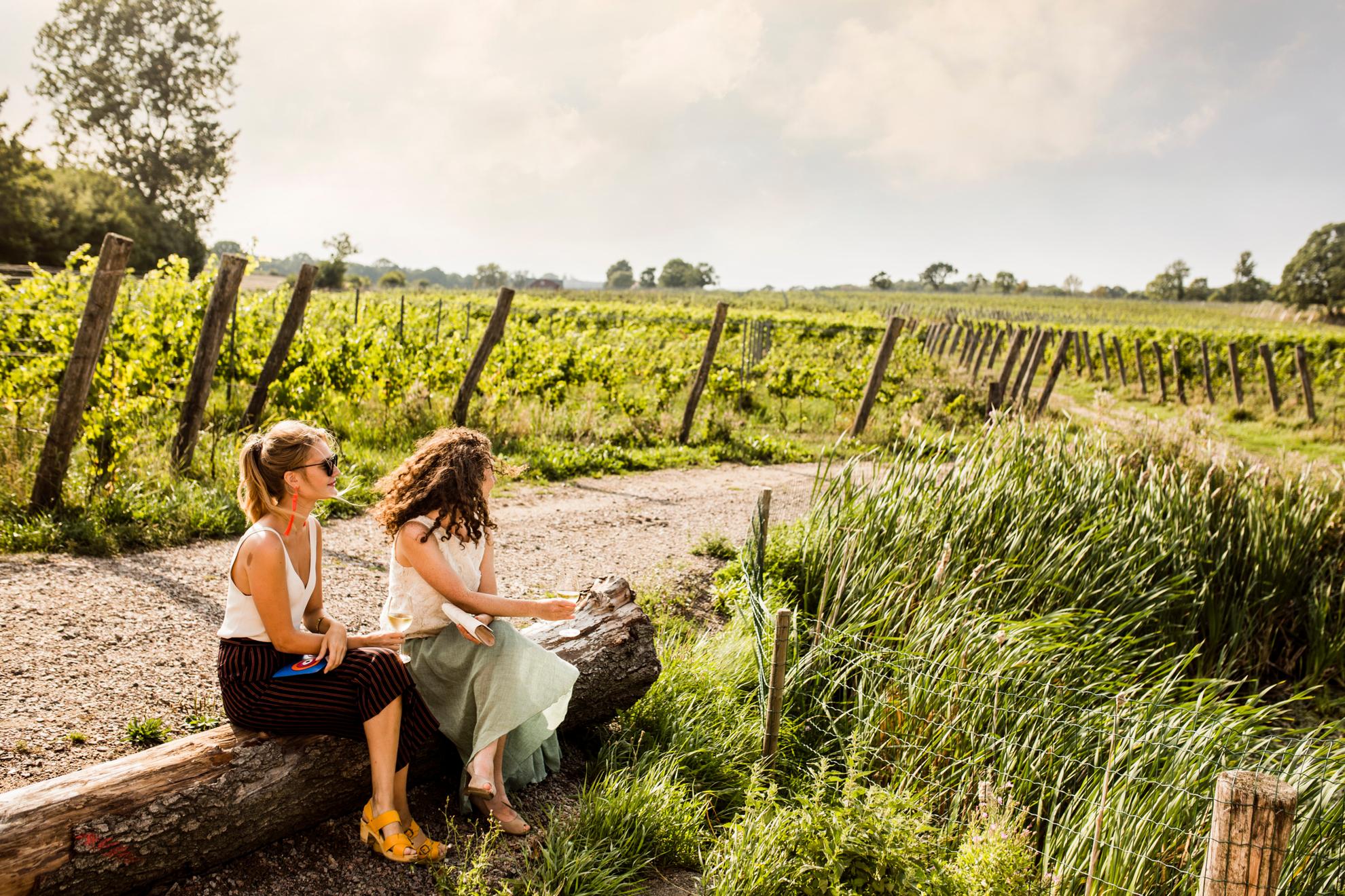 Two women are sitting outdoors next to a vineyard. The sun is shining, and the vines are green.
