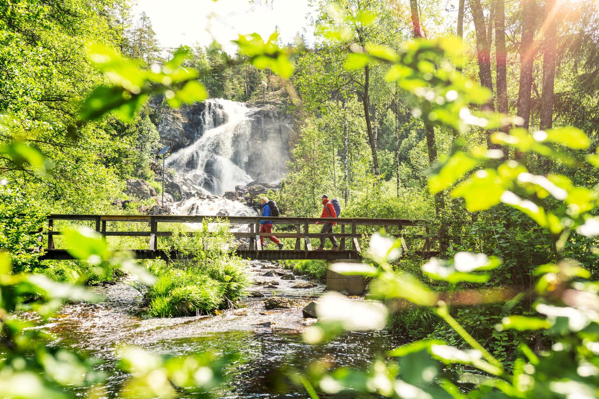 Two people walking over a wooden bridge in a forest. There is a waterfall in the background.