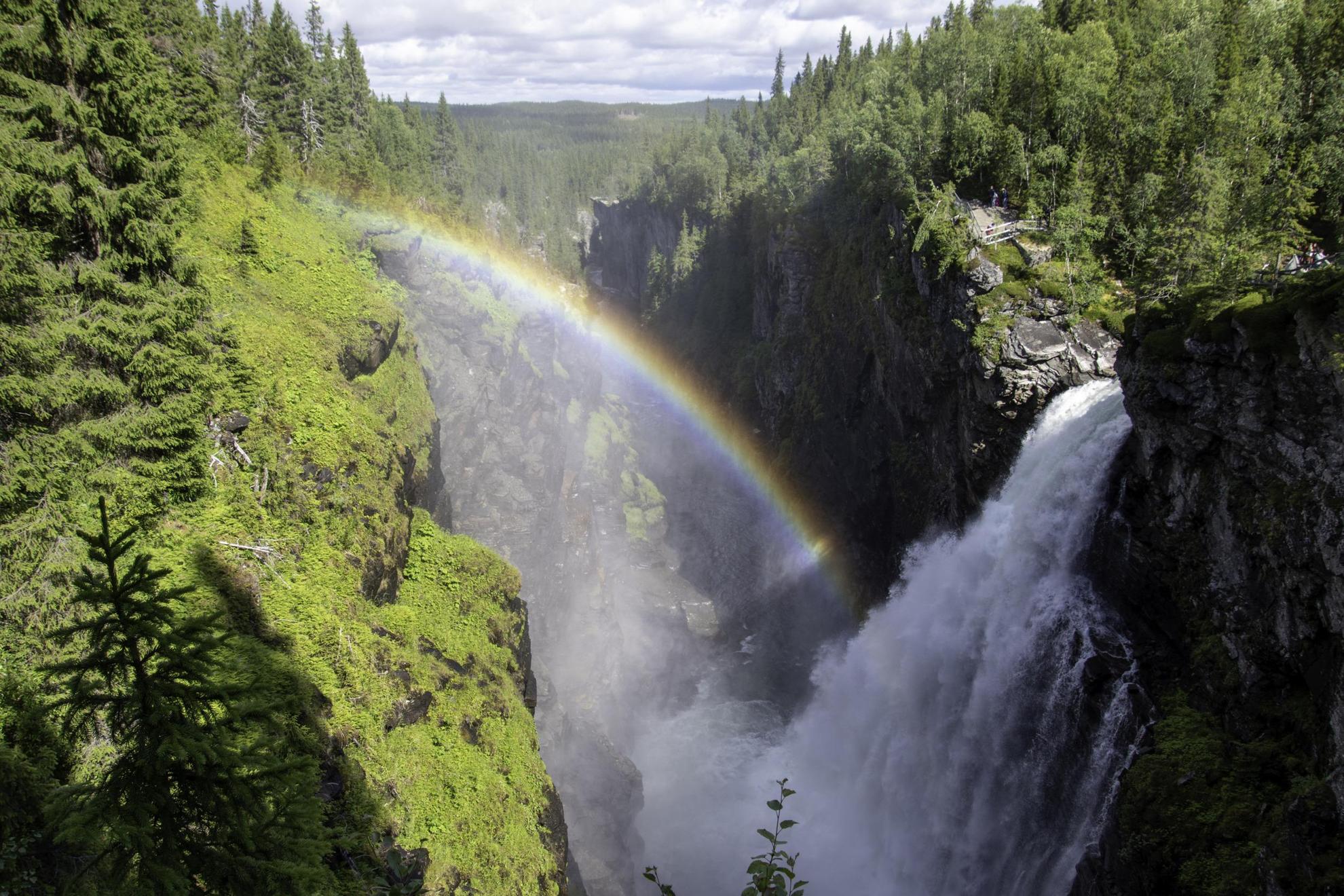 A waterfall rushes down a cliff in the forest. A rainbow is visible in the water vapour from the fall.