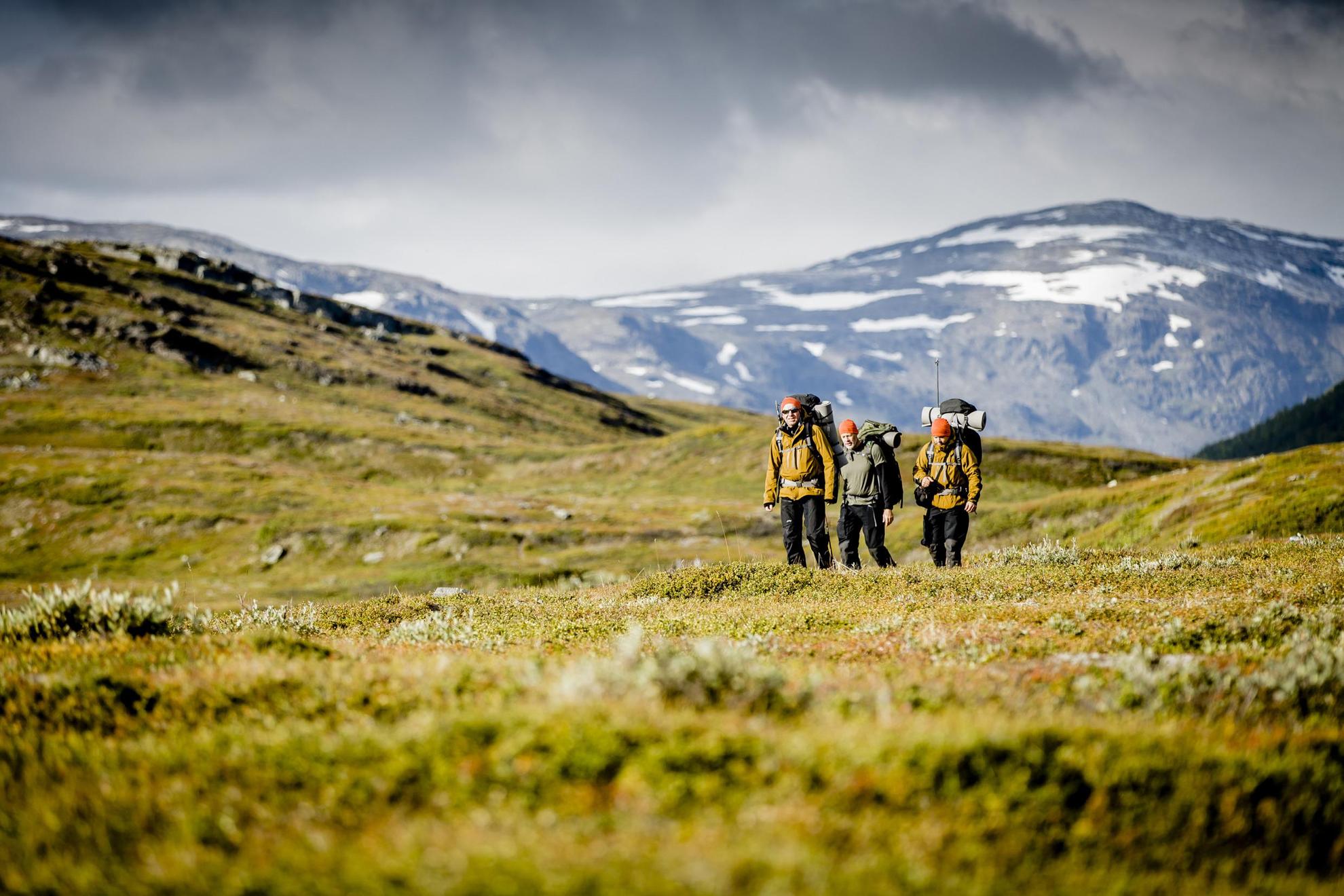 Three people with hiking gear and backpacks walking in the tundra.