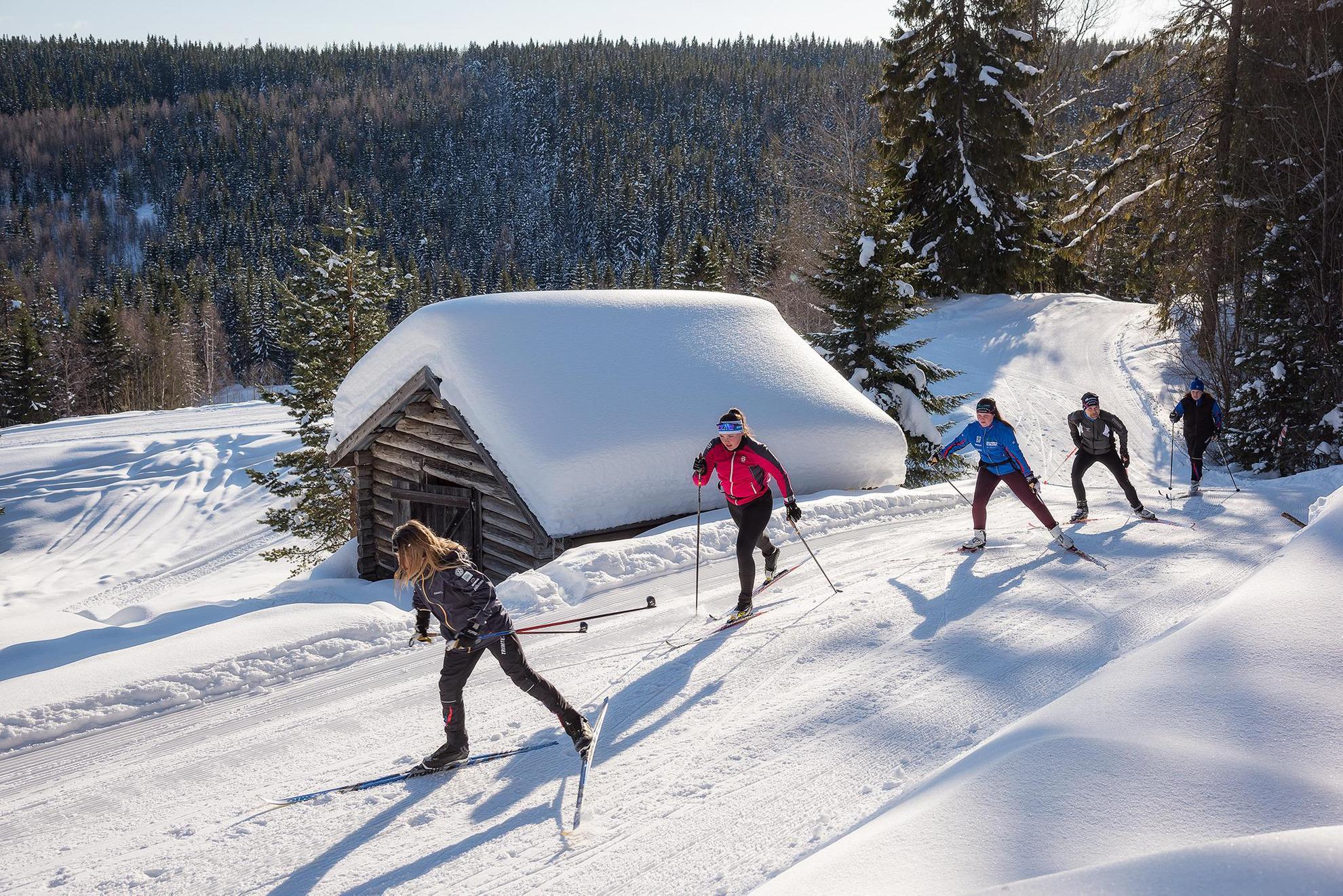 Five people are cross country skiing up a hill a sunny day during winter.