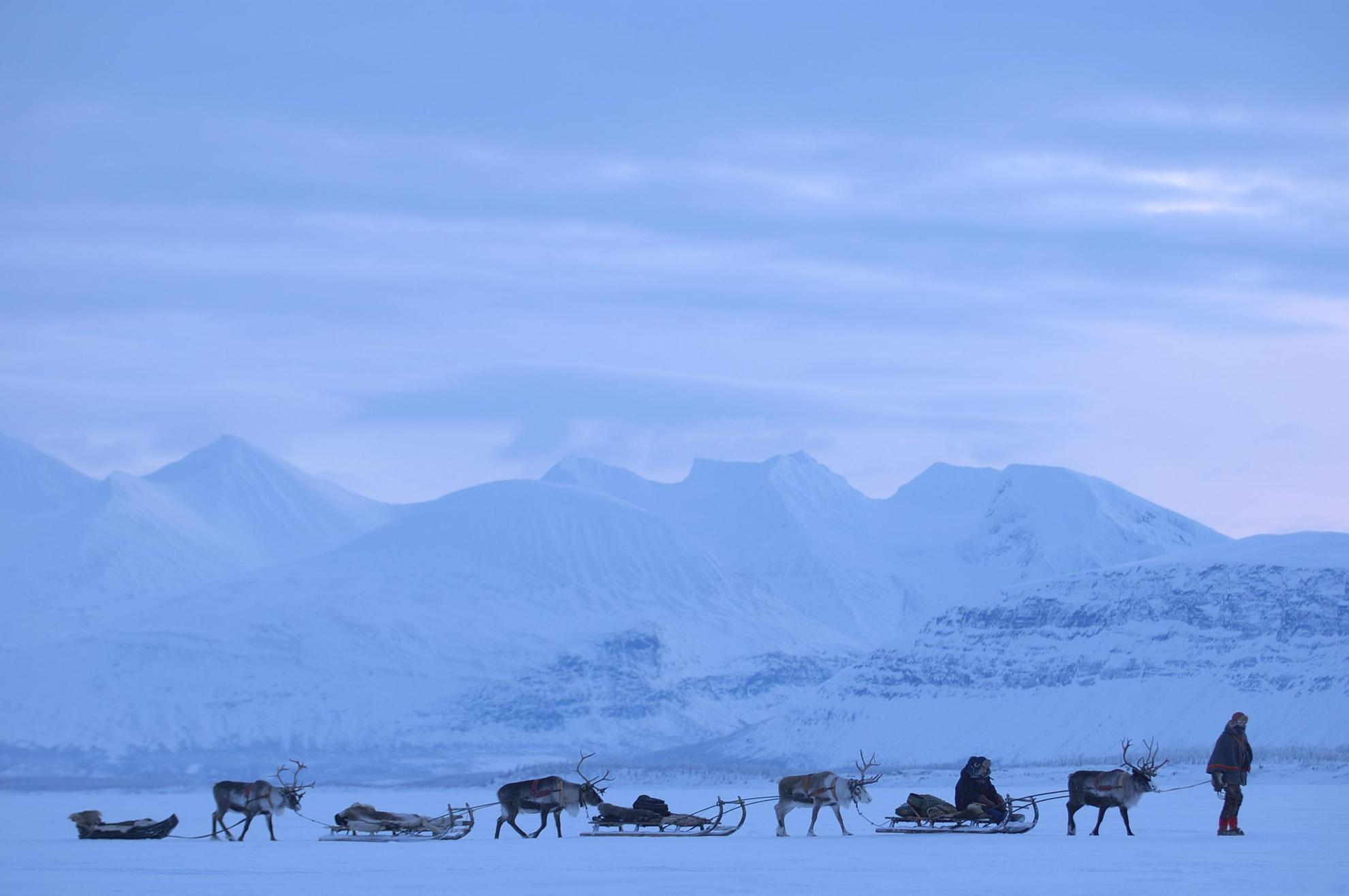 A man is leading a number of reindeer with sleds through a winter landscape of snow and ice.
