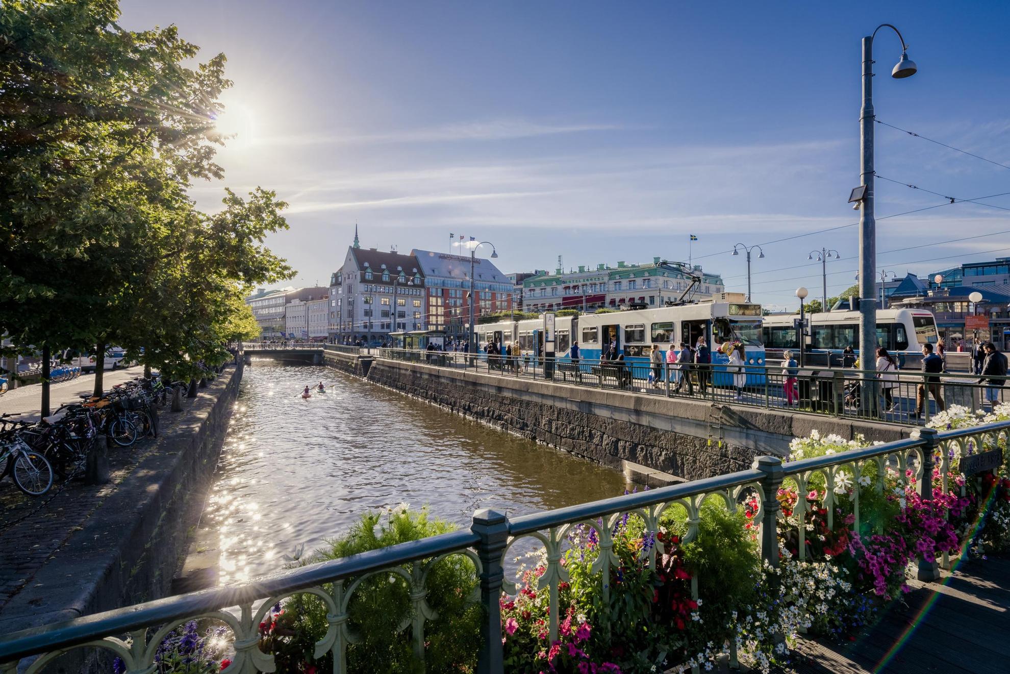 Trams by the canal and houses of Gothenburg. Flowers and trees surrounding the canal, and two kayaks in the water.