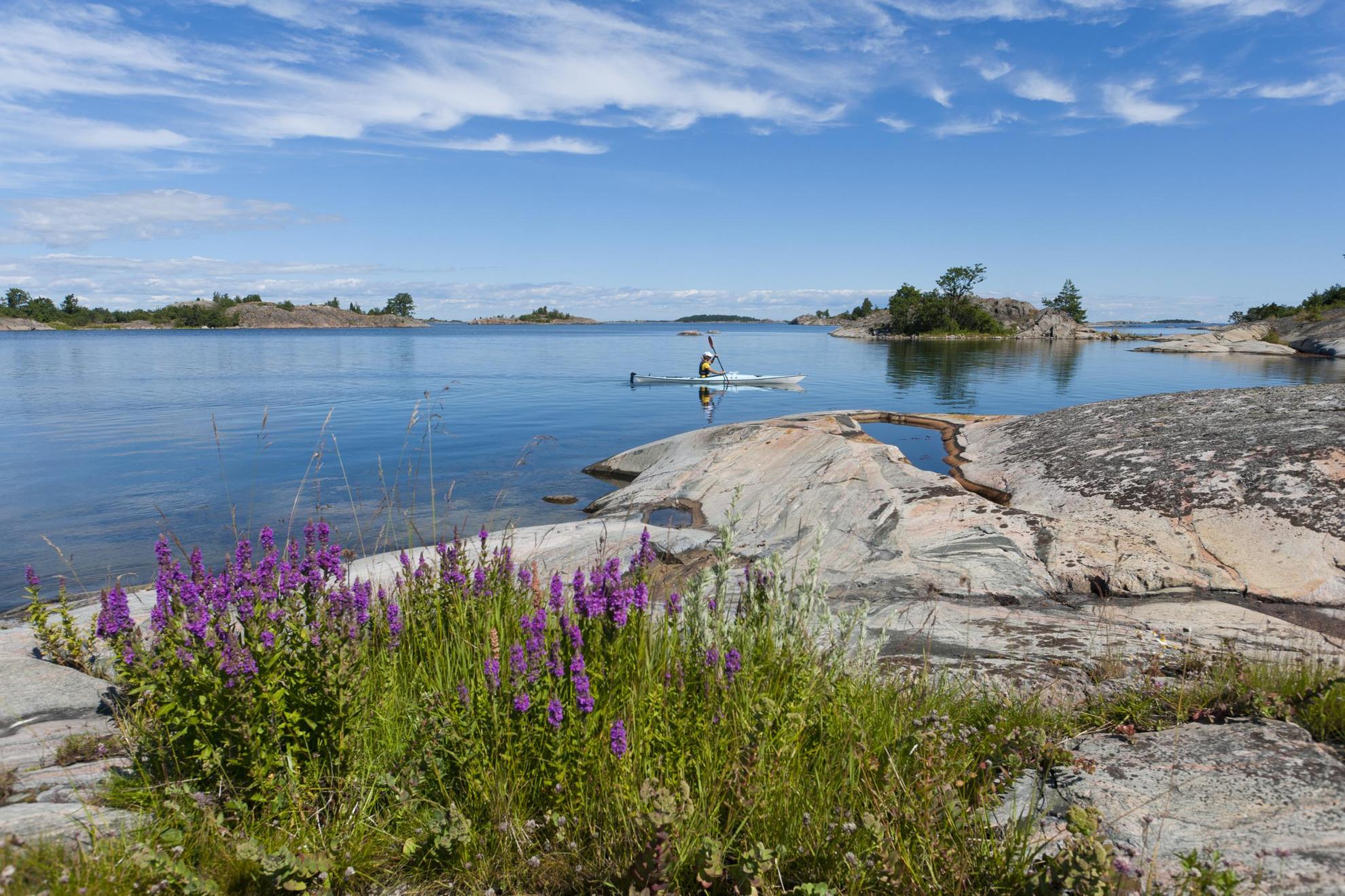 Kayaking in the Stockholm archipelago