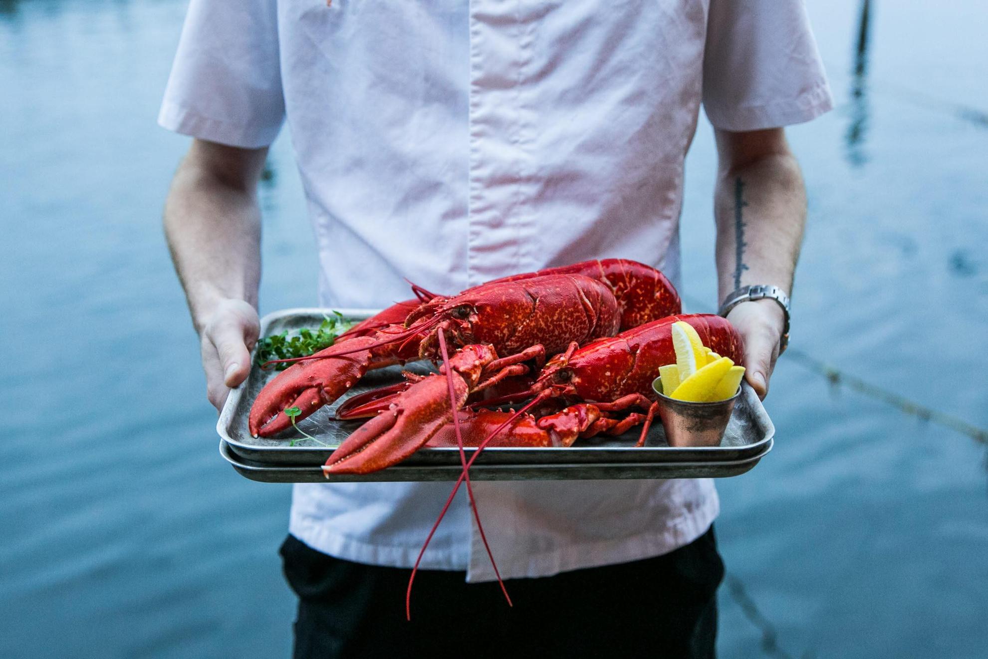 A person in chef clothes, standing by the sea while holding a tray with a large lobster and slices of lemon.