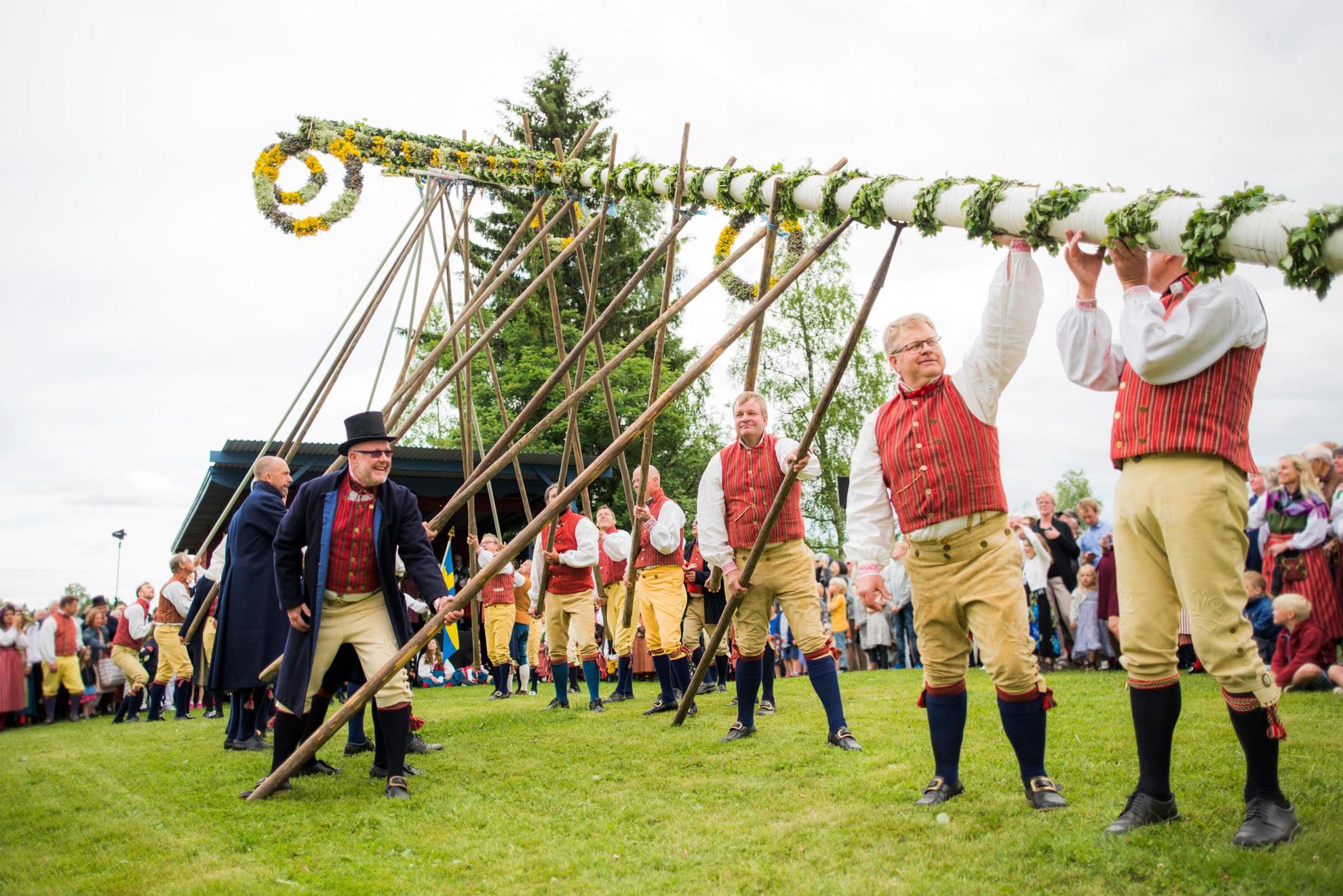 On a field, men wearing traditional folk costumes are raising a midsummer pole.