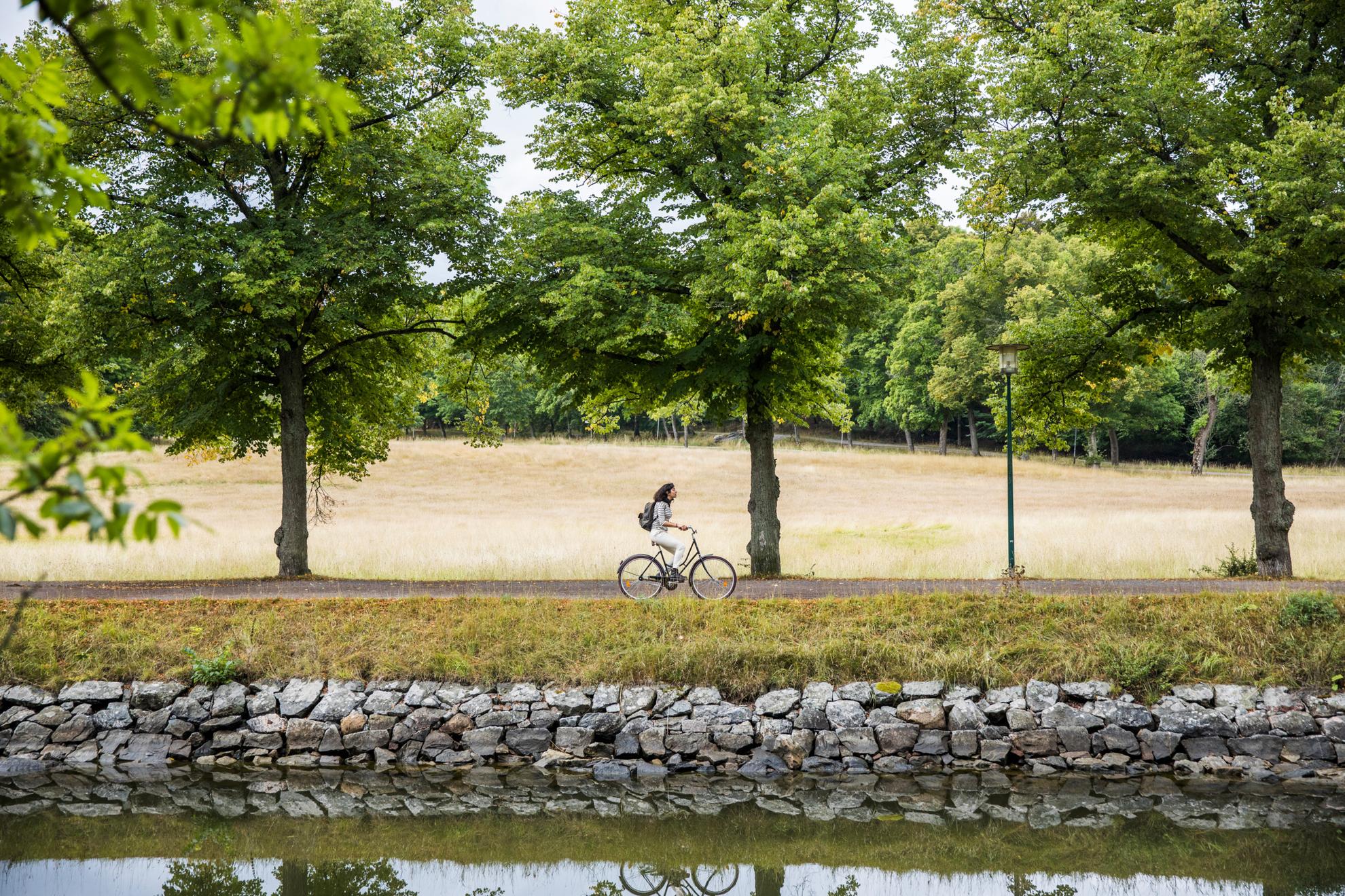 A woman is biking along a canal at the park Djurgården. There are trees and a meadow along the road.
