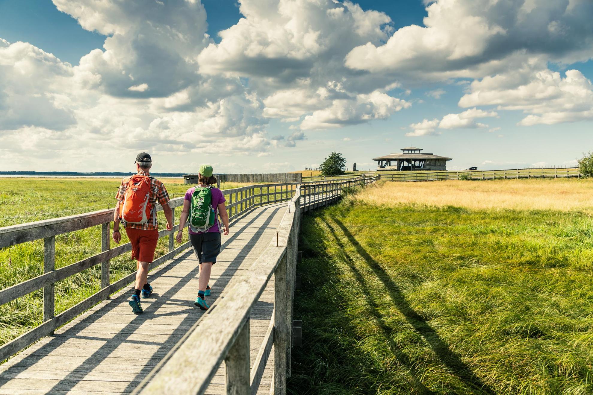 A man and a woman with backpacks are walking on a wooden boardwalk over green grass, leading to a visitor center by lake Horborga.