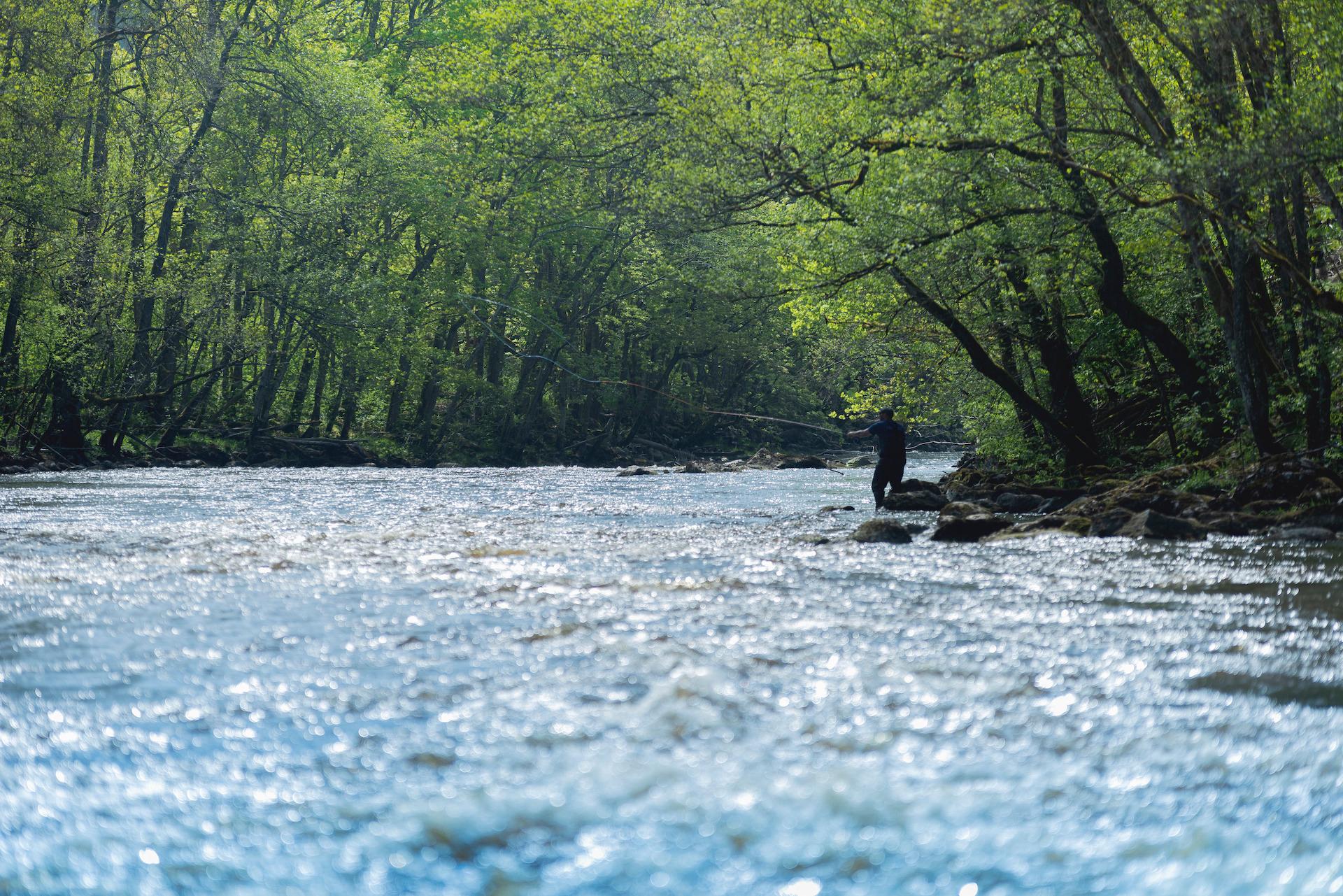 A person is fly fishing in Örekil River. The river is surrounded by greenery.