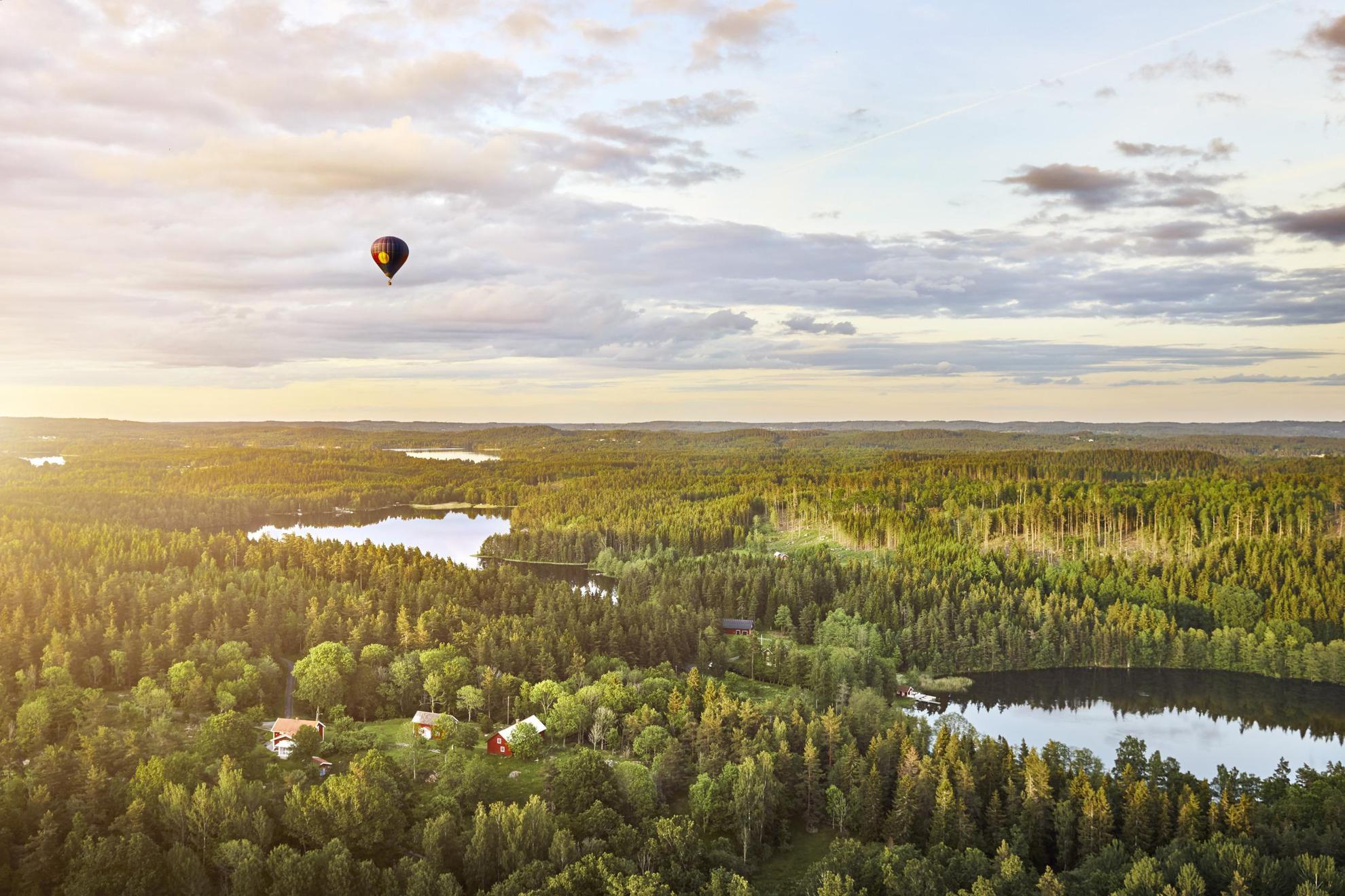 Forests of Småland