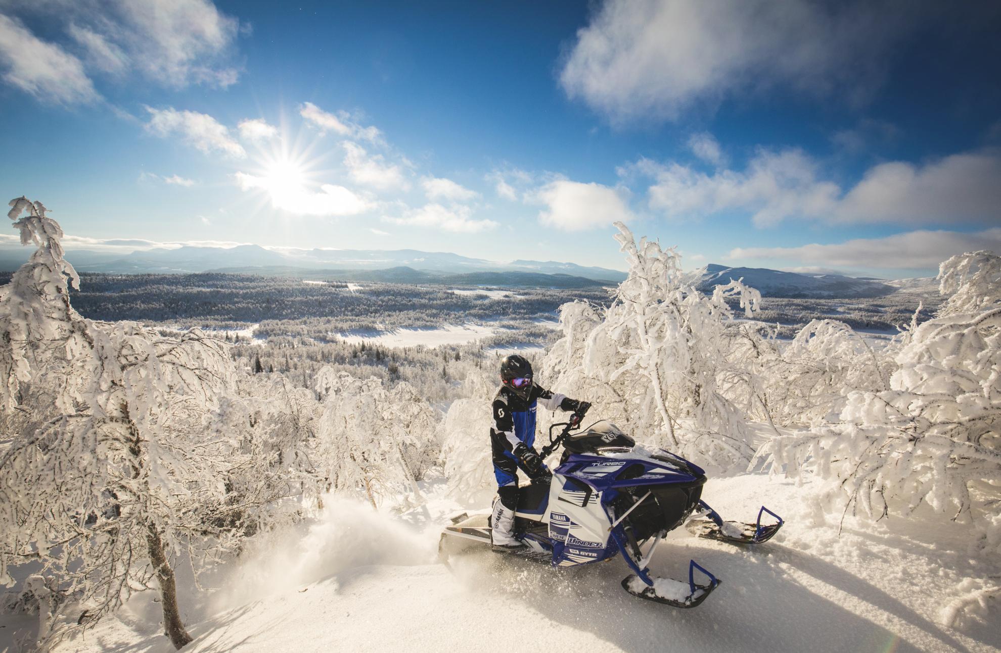 A person driving a snowmobile in winter forest