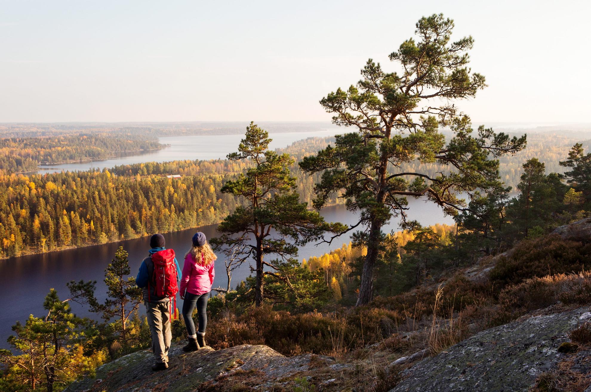 Two people standing on a cliff looking out over forest and lakes in Dalsland.