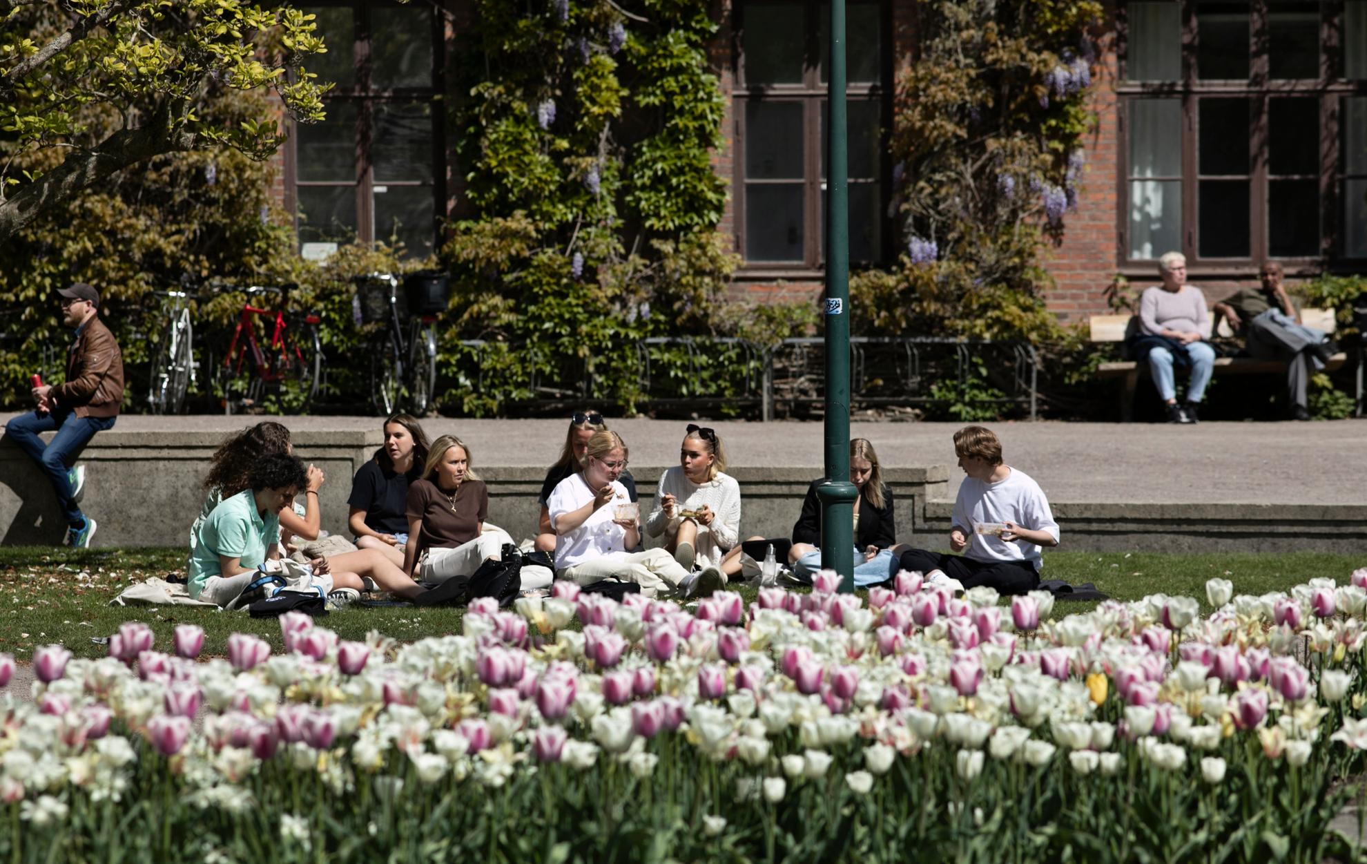 Students sits in the grass during a sunny summer day.