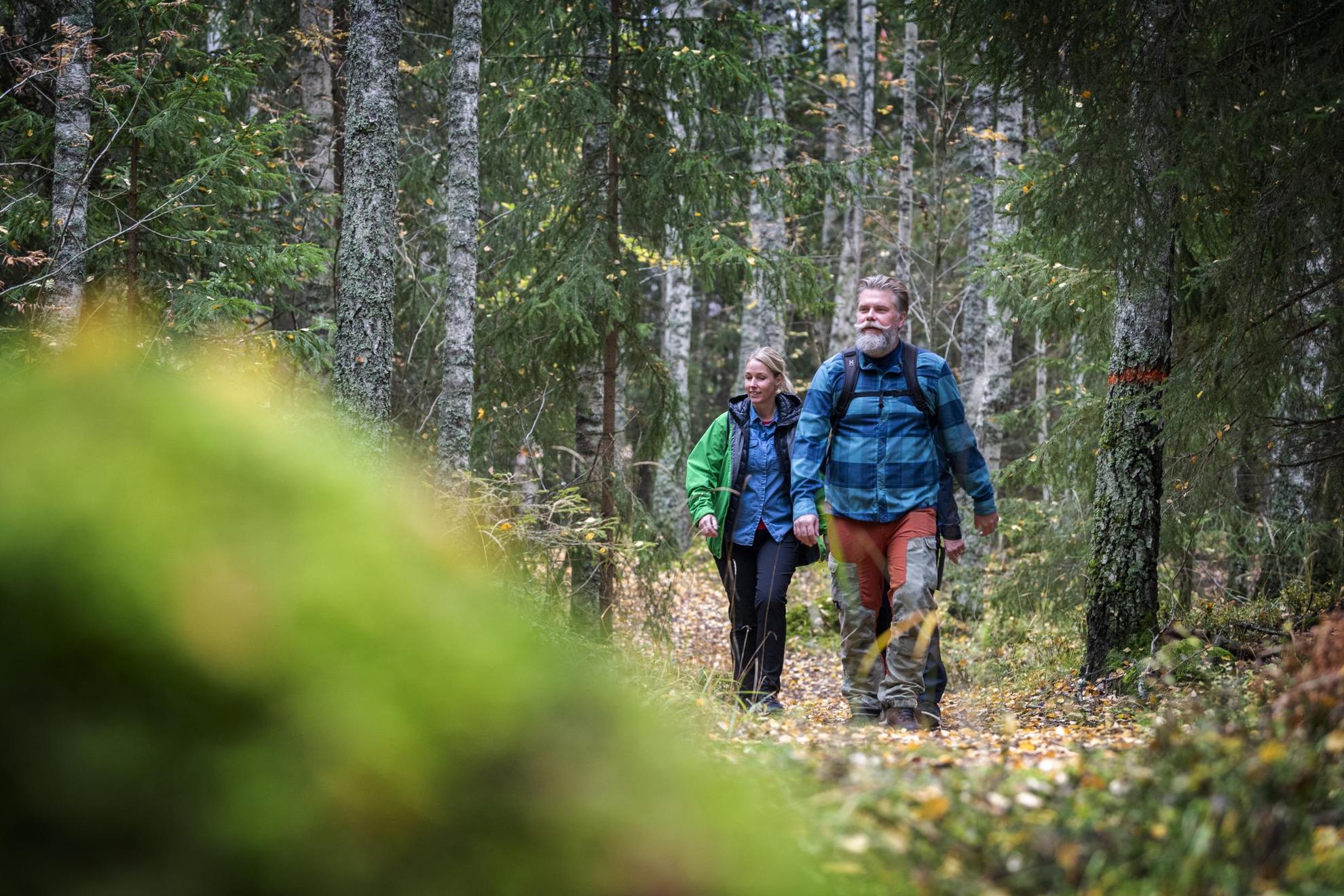 Three people are hiking the Bruksleden trail during autumn.