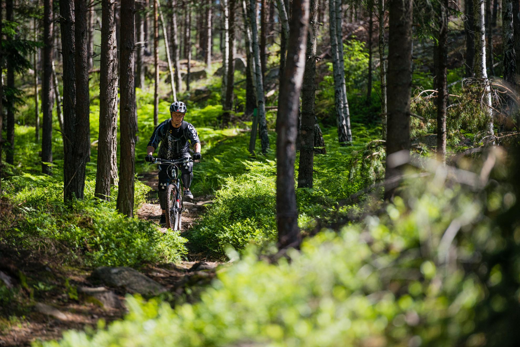 A man wearing a helmet rides a mountain bike through a lush forest.