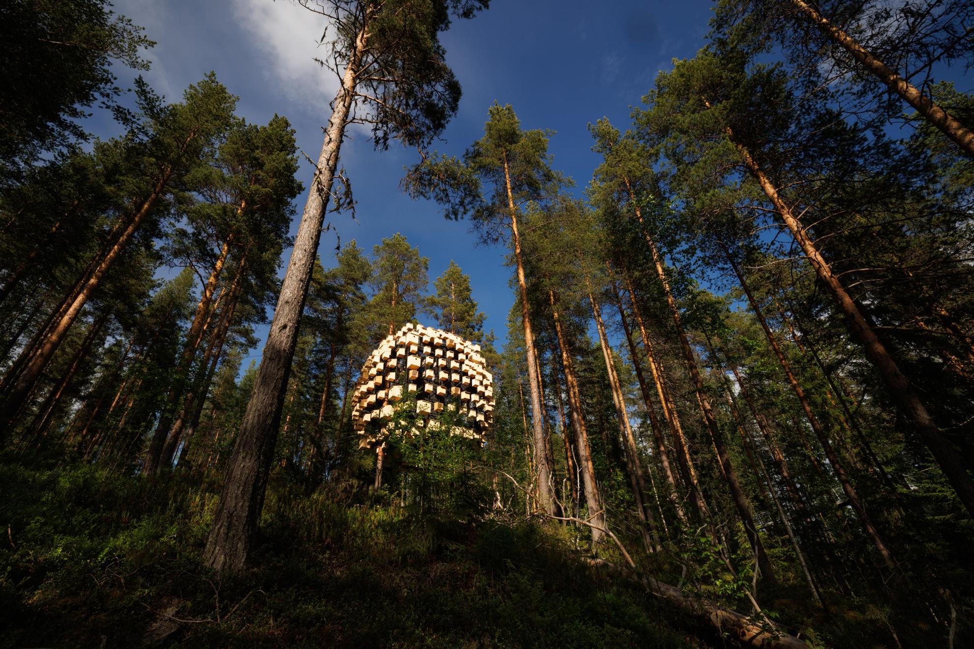 A tree house in the forest. Several bird boxes decorates the outside of the house.