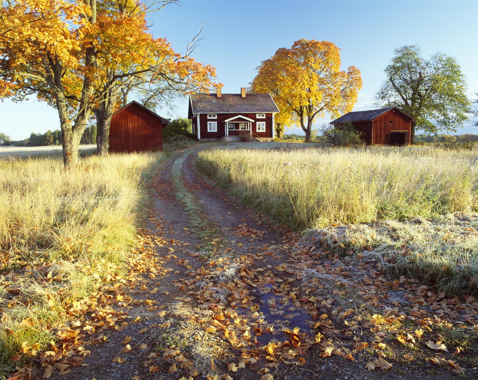 A red cabin with white trimmings are surrounded by meadows and a few trees. It is autumn and the leaves have turned yellow and orange.