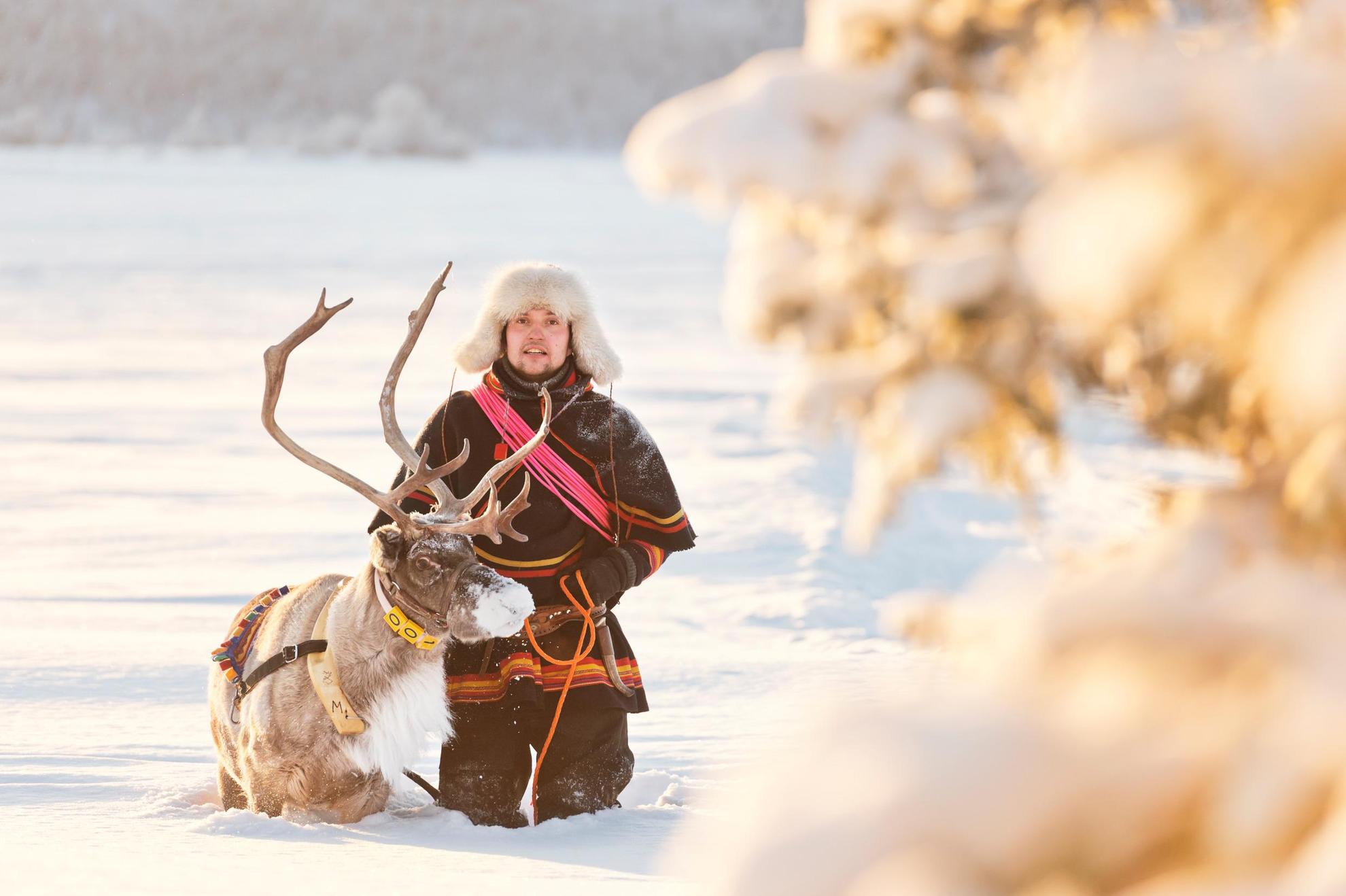 Sámi culture