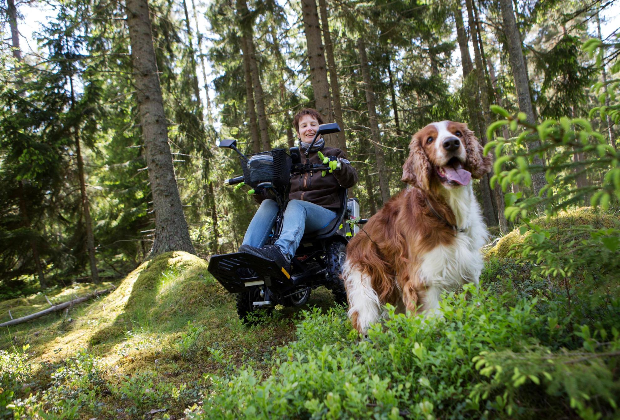 A woman and a dog is in the forest away from paths. The woman is riding a lightweight electric all-terrain four wheeler.