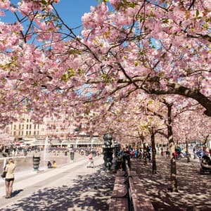 Scandinavia Spring Accessible waterfalls in Sweden and how to visit them | Visit Sweden