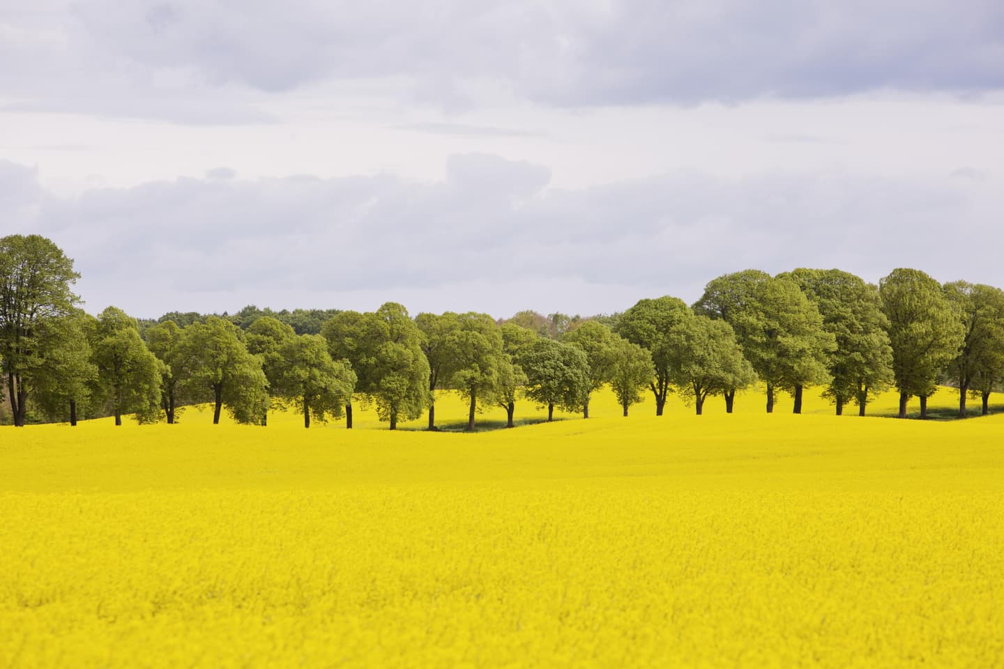Southern Sweden – culture-rich cities and coastal views | Visit Sweden
