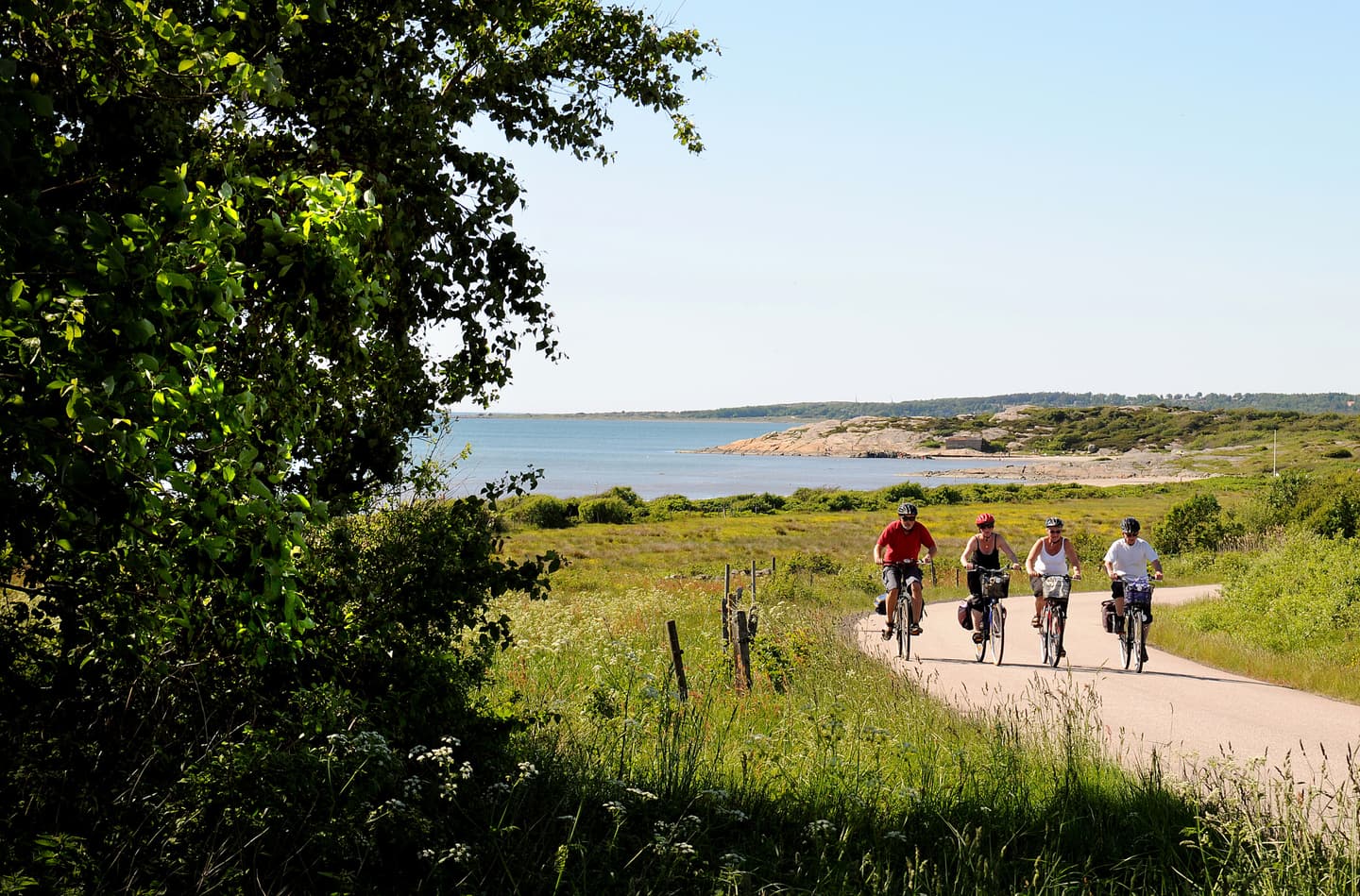 Explore The Halland Region And Towns Halmstad And Falkenberg Visit Sweden explore-the-halland-region-and-towns-halmstad-and-falkenberg-visit-sweden